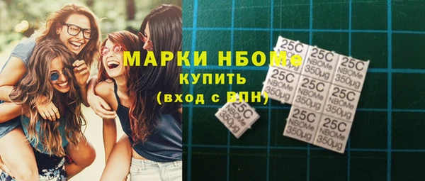 мдпв Ельня
