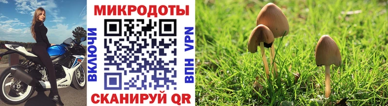 Купить  Пушкино  Псилоцибиновые грибы MAGIC MUSHROOMS 